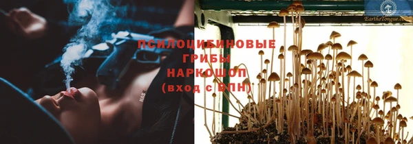 хмурый Алзамай