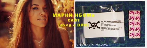 хмурый Алзамай