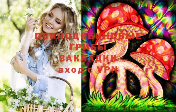 мяу мяу кристалл Алексин