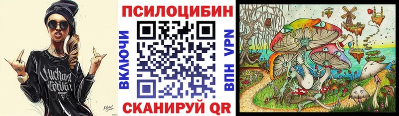 как найти закладки Заволжск Галлюциногенные грибы Psilocybine cubensis